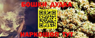 стаф Будённовск