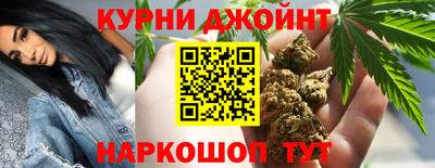 стаф Будённовск